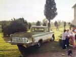 International Bonus Load Pickup 1975 года